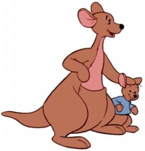 kanga roo