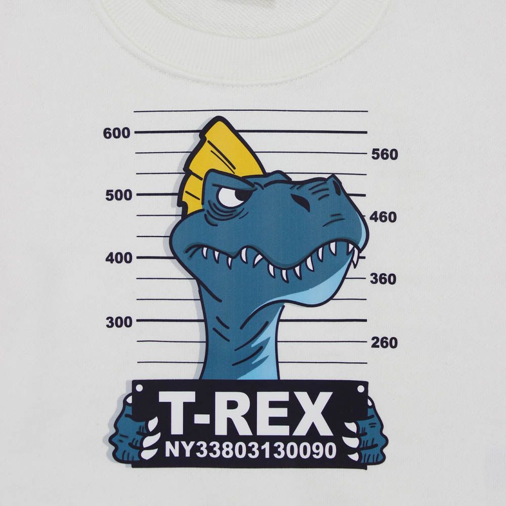 paidiko-set-forma-dinosauro-T-REX-1.jpeg